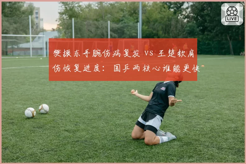 樊振东手腕伤病复发 vs 王楚钦肩伤恢复进度：国乒两核心谁能更快回归赛场？