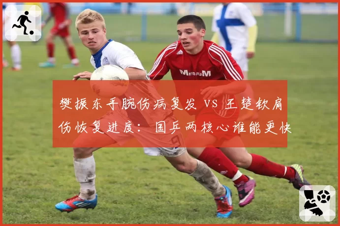 樊振东手腕伤病复发 vs 王楚钦肩伤恢复进度：国乒两核心谁能更快回归赛场？